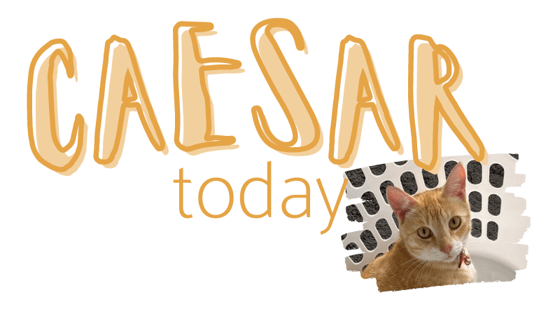 A welcome banner featuring a cute ginger cat named Caesar